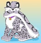  2019 citrinelle collar digital_media_(artwork) eyes_closed felid feral fur grey_fur mammal pantherine paws simple_background sitting smile snow_leopard solo spots spotted_fur 