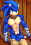  abs anthro balls biceps big_muscles blue_fur clothed clothing dgemporium fur green_eyes hi_res humanoid_penis male muscular nipples penis pubes solo sonic_(series) sonic_boom sonic_the_hedgehog topless 