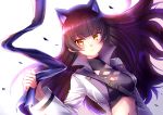  1girl animal_ear_fluff animal_ears bangs black_hair blake_belladonna blunt_bangs breasts cat_ears cleavage closed_mouth coat crop_top eyebrows_visible_through_hair floating_hair kaikai long_hair long_sleeves looking_at_viewer medium_breasts midriff navel open_clothes open_coat rwby simple_background solo stomach turtleneck upper_body very_long_hair white_background white_coat yellow_eyes 