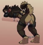  2019 absurd_res anthro anus balls bdsm bent_over blush bondage bound brown_fur butt canid canine chastity_cage chastity_device claws digitigrade exposed fur hands_behind_back hi_res looking_back male mammal muzzle_(object) muzzled redfeatherstorm shackles solo spreader_bar stomak tail_cuff toe_claws 
