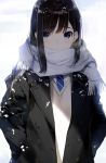  1girl black_coat black_hair blue_eyes blue_neckwear blurry blurry_background breath buttons coat eyebrows_visible_through_hair eyes_visible_through_hair fringe_trim hair_between_eyes hands_in_pockets highres long_hair long_sleeves looking_at_viewer nakamura_takeshi necktie original outdoors parted_lips scarf school_uniform shadow shirt sidelocks snow snowing solo upper_body v-neck vest white_background white_scarf white_shirt winter winter_clothes 