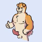  1:1 2019 animal_genitalia animal_penis anthro balls brown_fur canid canine canine_penis canis cottongryph digital_media_(artwork) domestic_dog erection fur gesture knot male mammal nipples nude penis shiba_inu simple_background smile solo spitz thumbs_up 