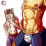  1:1 bulge canid canine canis clothed clothing felid feline hi_res male male/male mammal nipples pubes red_wolf scar topless ventkazemaru whiskers wolf 