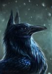  2019 avian beak bird black_beak digital_media_(artwork) feral hybrid hydlunn solo 