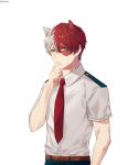  1boy absurdres animal_ears belt blush boku_no_hero_academia brown_belt burn_scar cat_ears commentary_request hair_between_eyes highres looking_at_viewer multicolored_hair necktie red_hair red_neckwear scar school_uniform shirt short_hair short_sleeves simple_background solo teoshq todoroki_shouto two-tone_hair white_background white_hair white_shirt 
