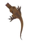  2019 4_toes absurd_res allosaurid allosaurus ambiguous_gender animal_genitalia biped breaking brown_skin butt claws cloaca crest darkened_genitals digital_media_(artwork) digitigrade dinosaur feet feral hi_res imminent_pain looking_at_viewer low-angle_view nude on_glass reptile scalie simple_background solo teeth theropod toes white_background zw3 