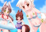  3girls :d animal_ear_fluff animal_ears ass_visible_through_thighs ball bare_arms bare_shoulders beachball bikini black_swimsuit blue_sky blush breasts brown_hair cleavage cloud collarbone commentary_request day flower hand_up holding holding_ball horizon innertube kanijiru leaning_forward long_hair low_twintails medium_breasts multiple_girls name_tag navel one-piece_swimsuit open_mouth original outdoors red_eyes school_swimsuit signature sky small_breasts smile striped striped_bikini swimsuit transparent twintails water white_bikini white_hair yellow_eyes yellow_flower 