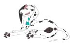  101_dalmatian_street 2019 absurd_res anatomically_correct animal_genitalia animal_pussy anus black_anus black_pawpads black_pussy canid canine canine_pussy canis claws clothing collar dalmatian delilah_(101_dalmatians) domestic_dog fangs female feral floppy_ears halbean hi_res looking_at_viewer lying mammal on_side open_mouth pawpads pussy simple_background solo spots white_background 