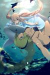  2girls ahoge air_bubble animal bikini bikini_top black_bikini black_bikini_top black_swimsuit blonde_hair blue_eyes braid braided_ponytail breasts bubble cis05 cleavage closed_mouth commentary dolphin dress eyebrows_visible_through_hair fate/grand_order fate_(series) flower grey_hair hair_between_eyes hair_ornament hair_ribbon jeanne_d&#039;arc_(fate)_(all) jeanne_d&#039;arc_(swimsuit_archer) large_breasts long_hair looking_at_another marie_antoinette_(fate/grand_order) marie_antoinette_(swimsuit_caster)_(fate) multiple_girls open_eyes purple_eyes ribbon single_braid smile starfish starfish_hair_ornament swimsuit tiara twintails underwater white_dress white_flower 