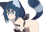  1girl all_fours animal_ear_fluff animal_ears bandeau bare_shoulders black_bandeau black_gloves blue_hair blush_stickers bottomless breasts cleavage closed_mouth collarbone commentary_request gloves grey_eyes long_hair original pappii_(paprika_shikiso) paprika_shikiso simple_background small_breasts smile solo tail tail_raised white_background 