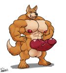  2019 5_fingers 5_toes abs absurd_res animal_genitalia animal_penis anthro balls biceps big_balls big_knot big_muscles big_nipples big_penis black_nose canid canine canine_penis erection fingers fox fox_mccloud fur green_eyes grin hi_res huge_balls huge_muscles huge_penis humanoid_penis hyper hyper_balls hyper_muscles hyper_penis knot looking_at_viewer male mammal muscular muscular_male nintendo nipples nude orange_fur pecs penis pink_nipples pink_penis signature simple_background smile solo standing star_fox teeth thick_penis thick_thighs toes uniparasite video_games white_background white_balls white_fur 