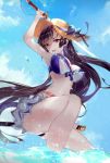  bikini skirt_lift swimsuits sword thong vardan wet 