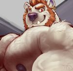  2018 anthro arcas beard big_muscles big_pecs black_nipples black_nose body_hair chest_hair clothed clothing ear_piercing ear_ring eyebrows facial_hair fangs fur hair hairy looking_at_viewer low-angle_view male mammal muscular muscular_male nightterror nipples pecs piercing polar_bear red_eyes red_hair smile solo thick_eyebrows topless ursid ursine white_fur 