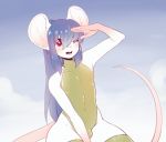  anthro blush bulge clothed clothing crossdressing girly looking_at_viewer male mammal mouse murid murine open_mouth rodent solo suelix swimwear wide_hips 