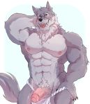  absurd_res anthro canid canine canis clothing fundoshi ghangaji hi_res humanoid_penis japanese_clothing kemono male mammal muscular muscular_male nipples nude penis solo tongue tongue_out underwear wolf 