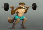  barbell bottomwear canid canine canis clothing crouching domestic_dog exercise male mammal rory_foster shorts solo squats weightlifting weights workout xmissingno 