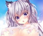  animal_ears blush breasts catgirl close clouds cropped erect_nipples fang gray_hair long_hair ojitcha original oziko_(ojitcha) purple_eyes sky torn_clothes twintails wet 