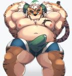  2019 anthro belly bhtoss blue_eyes bodily_fluids bottomwear bulge clothing cum cum_through_clothing erection erection_under_clothing felid genital_fluids hombretigre male mammal moobs nipples overweight overweight_male pantherine shorts simple_background solo tiger tokyo_afterschool_summoners underwear video_games wet wet_clothing white_background 