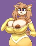  2018 anthro big_breasts breasts clothed clothing digital_media_(artwork) female hi_res huge_breasts mammal nipples smile snao sonic_(series) toffee_the_hedgehog 