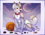  2015 anthro applepup black_nose candy canid canine collar diaper food fur kneeling looking_up male mammal multicolored_fur open_mouth orange_eyes solo tongue tongue_out young 