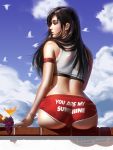  1girl arm_strap ass bangs bare_shoulders bikini bird black_hair blue_sky blush bracelet breasts brown_eyes clothes_writing cloud cup day earrings final_fantasy final_fantasy_vii food from_behind fruit grapes highres jewelry large_breasts liang_xing long_hair looking_to_the_side outdoors red_bikini sidelocks signature sitting sky solo swimsuit tankini tifa_lockhart wet wet_clothes 