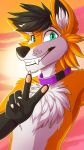  2019 5_fingers anthro black_hair black_nose canid canine citrinelle collar day digital_media_(artwork) fingers fox fur hair hi_res looking_at_viewer male mammal orange_fur outside sky smile solo teeth white_fur 