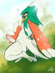  &lt;3 anthro avian bird decidueye hi_res humanoid_penis looking_at_viewer male nintendo outside owl penis pok&eacute;mon pok&eacute;mon_(species) seductive skullysilverwolf solo video_games 