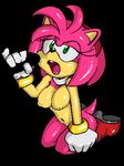  amy_rose seikoseeley sonic_team tagme 