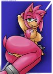  amy_rose sonic_team sonicdash tagme 