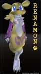  digimon renamon tagme 