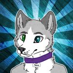  2014 anthro black_nose canid canine canis collar domestic_dog fiskie fur grey_fur headshot_portrait heterochromia husky male mammal nordic_sled_dog pixel/casevynn portrait smile solo spitz teeth white_fur 