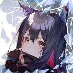  1girl animal_ears arknights blush fingerless_gloves frown gloves long_hair looking_at_viewer multicolored_hair solo texas_(arknights) user_yzzn3747 