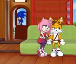  amy_rose boom canid canine duo_focus eulipotyphlan fox group hedgehog hi_res mammal miles_prower sonic_(series) ultear 