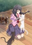  1girl animal artist_request bakemonogatari black_hair braid breasts cat glasses hair_ornament hairclip hanekawa_tsubasa holding holding_cat juliet_sleeves large_breasts long_hair long_sleeves monogatari_(series) official_art puffy_sleeves purple_eyes skirt smile solo source_request twin_braids 