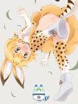  1girl animal_ears ass blonde_hair blush commentary convenient_leg elbow_gloves gloves kemono_friends lucky_beast_(kemono_friends) no_panties object_on_head panties panties_on_head panties_removed pikuharu serval_(kemono_friends) short_hair simple_background tail thighhighs underwear 