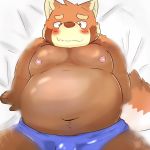  1:1 2019 ailurid anthro belly blush bulge clothing fur guratan_wa humanoid_hands lying male mammal moobs navel nipples overweight overweight_male red_fur red_panda solo underwear 