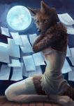  absolute_territory breasts brown_eyes brown_fur canid canine claws clothing conditional_dnp dress female full_moon fur kneeling legwear light looking_at_viewer mammal moon moonlight night night_sky outside sky stockings thigh-highs trunchbull 