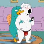  1:1 4_fingers absurd_res anthro balls barefoot beak blush booty_trio brian_griffin bulge canid canine canis clothing detailed_background disney domestic_dog duo erection family_guy fingers fur hi_res licking male male/male mammal monotreme nude penis perry_the_platypus phineas_and_ferb platypus raymondfoxxx signature tongue tongue_out 