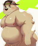  2019 absurd_res anthro belly bhtoss butt clothing cute_fangs fur grandoroff hat headgear headwear hi_res male mammal moobs navel nipples overweight overweight_male penis polar_bear solo ursid ursine white_fur 