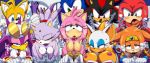  aku_tojyo amy_rose avian avoid_posting big_breasts blaze_the_cat breasts canid canine chiropteran domestic_cat echidna eulipotyphlan felid feline felis fox from_behind_position group group_sex hedgehog knuckles_the_echidna mammal miles_prower monotreme rouge_the_bat sex shadow_the_hedgehog silver_the_hedgehog sonic_(series) sonic_riders sonic_the_hedgehog wave_the_swallow 