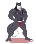  anthro bodily_fluids bulge canid canine canis clothed clothing genital_fluids hi_res jockstrap kenjin looking_at_viewer male mammal muscular muscular_male precum precum_through_clothing skimpy smile solo standing underwear wet wet_clothing wolf 