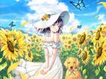  animal butterfly clouds dog dress flowers foreign_blue short_hair sky 