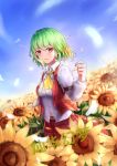  1girl absurdres arm_strap ascot bangs belt blonde_hair blue_sky blush breasts brooch chinese_commentary chinese_text cloud commentary_request cowboy_shot day eyebrows_visible_through_hair field flower flower_field green_hair hair_between_eyes highres jewelry kazami_yuuka long_sleeves looking_at_viewer medium_breasts multicolored_hair outdoors parted_lips petals plaid plaid_skirt plaid_vest red_eyes red_skirt red_vest shirt short_hair skirt skirt_set sky smile solo standing sunflower touhou translation_request vest wangdoung white_shirt wing_collar yellow_neckwear 