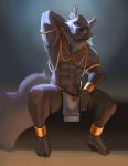  absurd_res anthro canid canine canis clothing harufeng hi_res jackal jewelry loincloth looking_at_viewer male mammal muscular muscular_male pubes sitting smile solo 