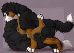  anal anal_penetration bernese_mountain_dog black_fur canid canine canis domestic_dog duo feral feral_on_feral feral_penetrated feral_penetrating feral_penetrating_feral feralized fur lucas_(lucasreturns) lying male male/male male_penetrated male_penetrating mammal marjani molosser mountain_dog on_back penetration quadruped ruska sex swiss_mountain_dog 