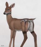  2019 anal anal_penetration blue_eyes butt buttplug capreoline cervid clothing collar difetra female feral garter_straps hi_res legwear lingerie looking_at_viewer mammal penetration pussy quadruped sex_toy simple_background solo stockings teats white-tailed_deer white_background 