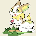  1:1 2019 anthro butt canid canine female green_eyes holding_object itsunknownanon looking_at_viewer mammal nintendo nude pok&eacute;ball pok&eacute;mon pok&eacute;mon_(species) pussy solo tongue tongue_out video_games yamper 