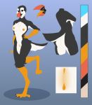  4_toes 5_fingers absurd_res alcid anisodactyl anthro avian aysha_(laulenture) biped bird black_feathers blackbatwolf blue_eyes feathers female fingers hi_res lari model_sheet nude orange_skin puffin scuted_arms scutes simple_background smile solo standing toes white_feathers 