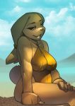 anthro clothed clothing cloud doedog female lagomorph leporid looking_at_viewer mammal outside rabbit sitting smile solo swimwear 