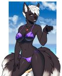  anthro beach bikini breasts canid canine clothed clothing female hi_res jewelry looking_at_viewer mammal necklace outside porin seaside smile solo standing swimwear wide_hips 